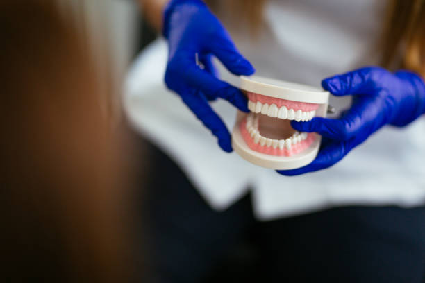 Kronenwetter, WI  Holistic Dental Services Company
